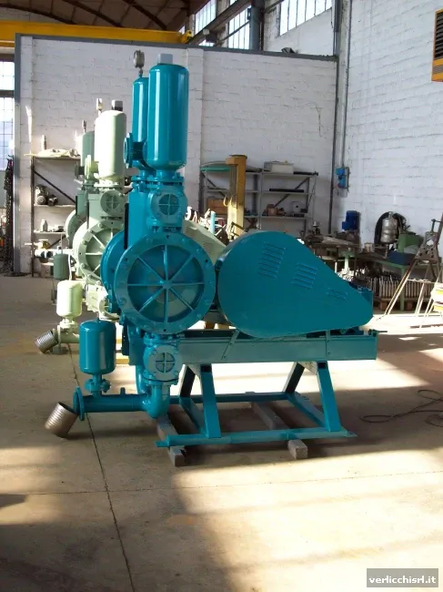 N.03 pompe-fanghi DMPM30 a doppia membrana